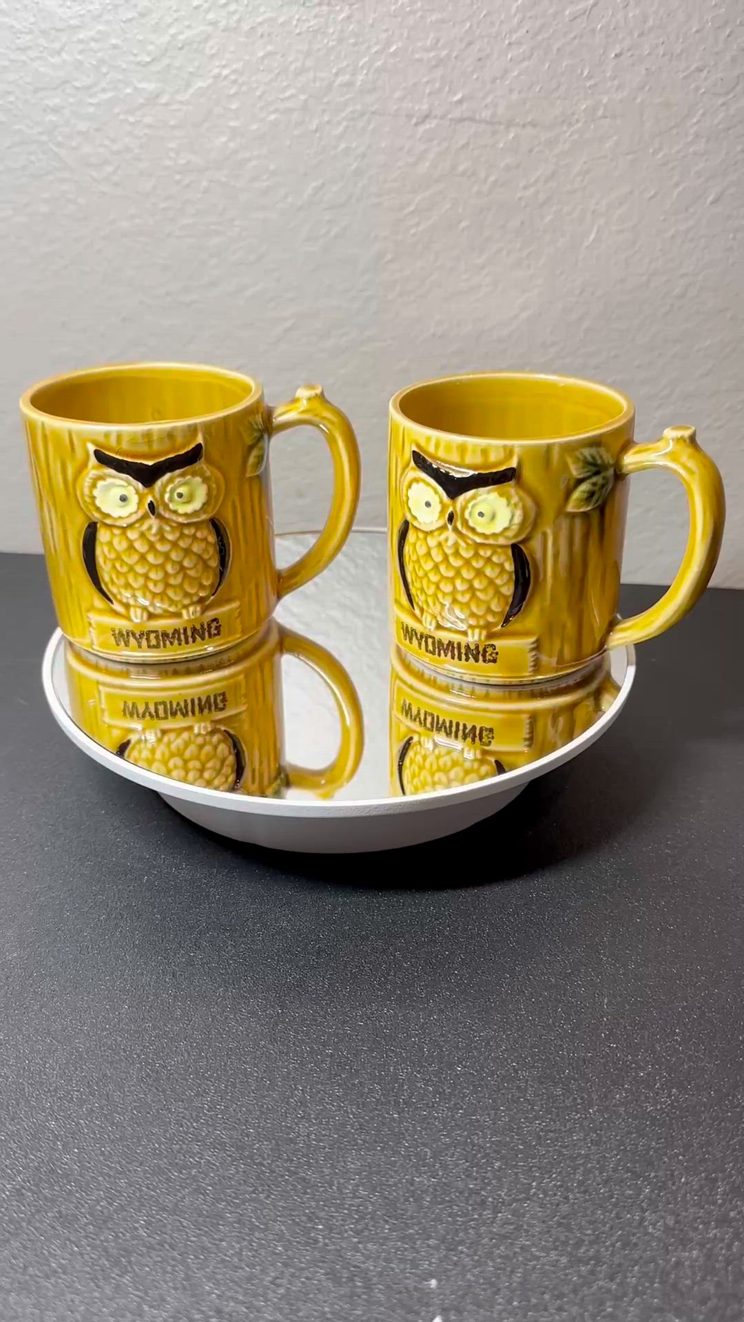 Super Cute Wyoming Owl Mugs 2
JAPAN Rare