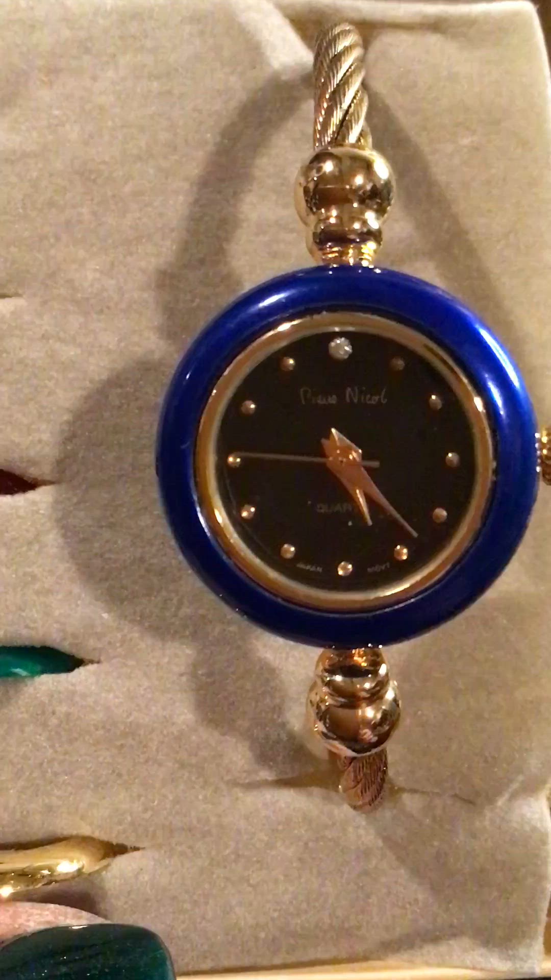 Pierre Nicol Fashion watch