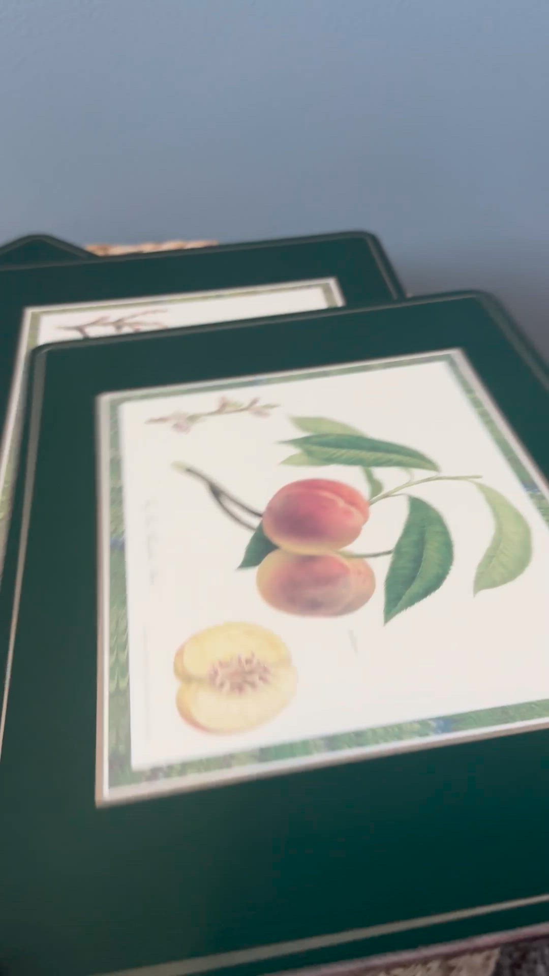 RHS Collection by Pimpernel Placemats – Set of 4 – Botanical Fruit Designs Cork