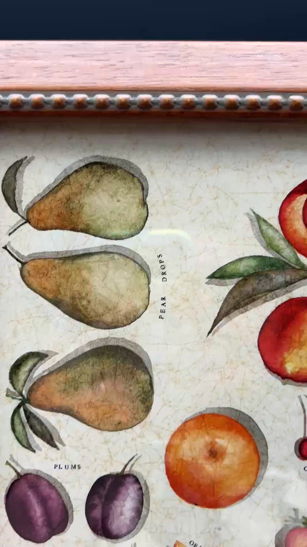 "Jenny Hannah 'Fruits' 12x10 Framed Botanical Chart