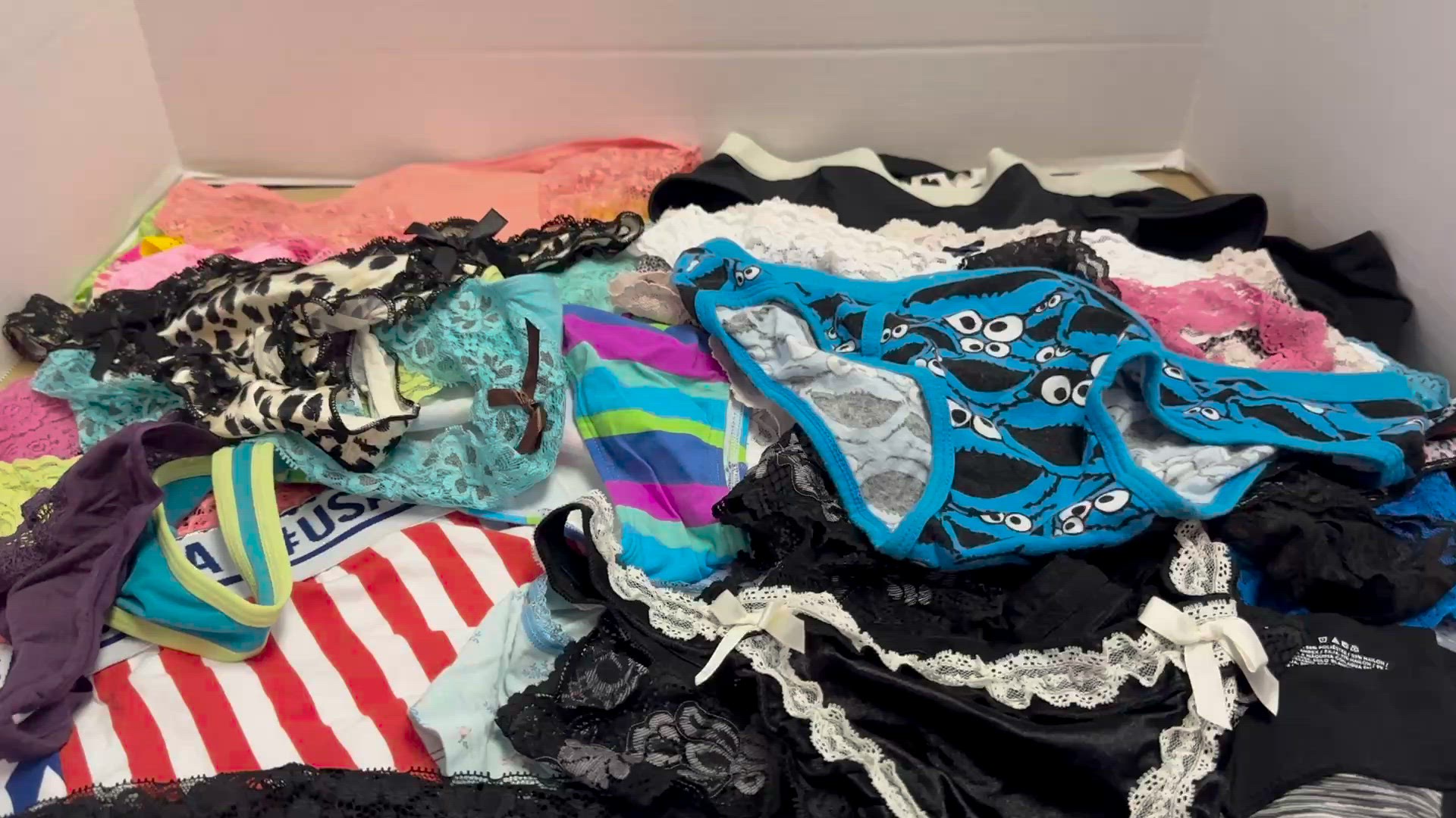 NWOT LADIES UNDER GARMENTS UNDIES Victoria Secret N More