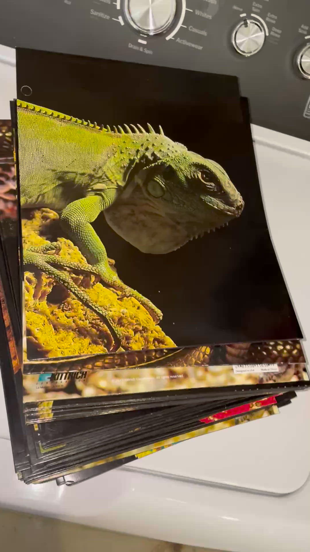 Around 40 Reptile Folders 